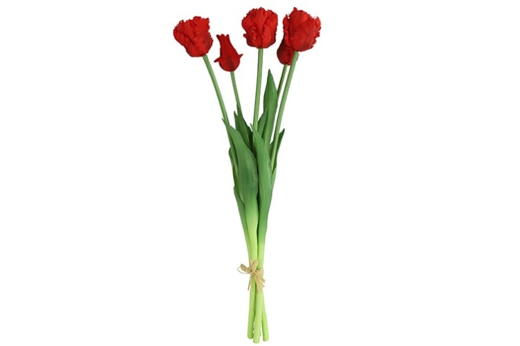 parkiet kunst tulpen rood